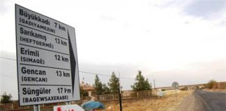 Bireysel Haklar, Kollektif Haklar ve Dil Kaybı