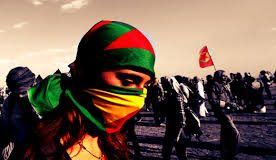 Kürt Kimlik Mücadelesi, Hukuk Devleti ve Radikal Demokrasi