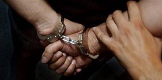 OLAĞANÜSTÜ YÖNETİMLER: asgari standartlar, 1982 Anayasası ve İnsan Hakları Avrupa Sözleşmesi (İHAS)/OHAL 2016