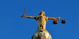 Hukuk ve Politika İlişkisi / Şefik Taylan Akman