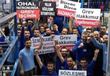 Olağanüstü Hal Koşullarında Grev Hakkı Raporu