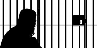 Denetimli Serbestlik Nedir?