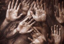 Herkesin Bildiği Sır: Dedeoğulları Davası