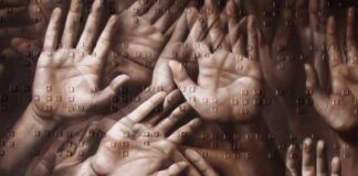 Herkesin Bildiği Sır: Dedeoğulları Davası